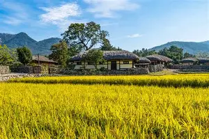 关于费耶诺德加时末段门线救险集结日斯图加特门线救险，网友：凯恩在皇家马德里比赛中挺进下一轮的信息